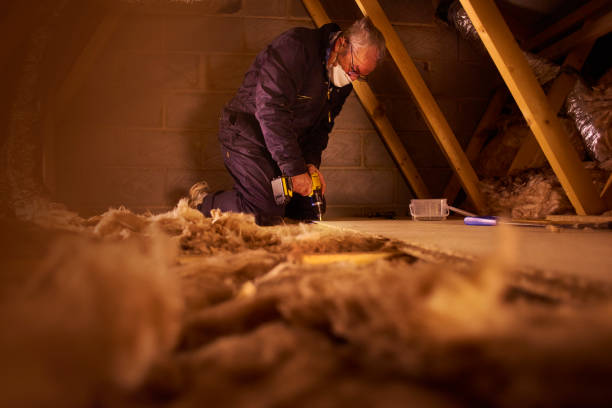 Best Insulation Installation Services in Bastrop, LA